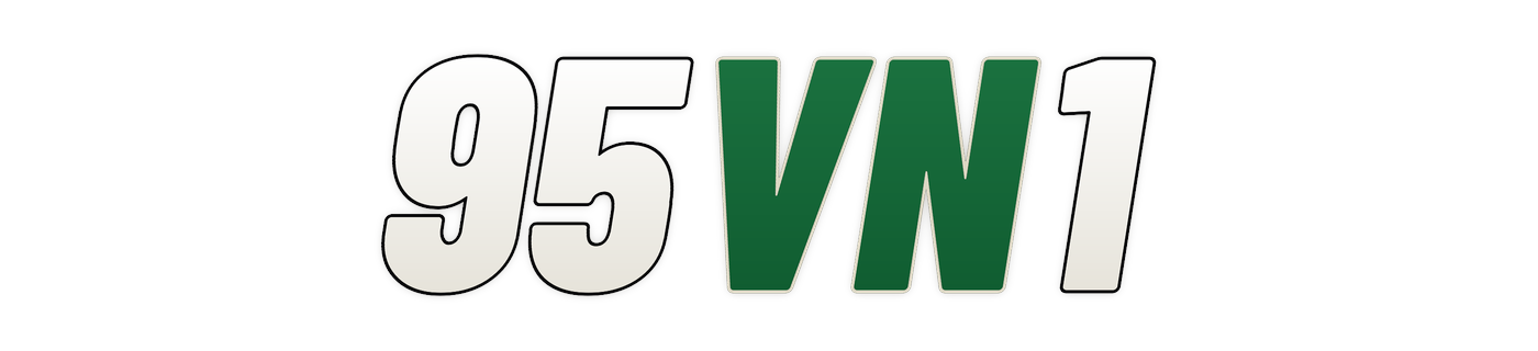 95vn1